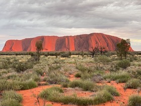 夏はハエが沢山