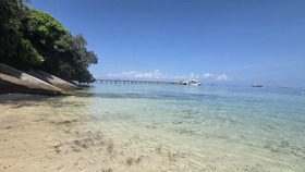 大満足でした！