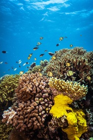 多少天候が悪くても楽しめます！