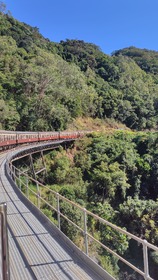 キュランダ鉄道往復利用