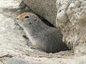親切なガイドさんと満喫した３日間