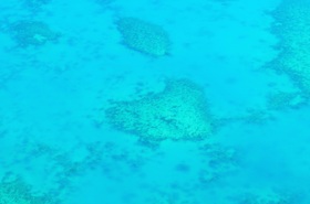 写真や映像以上の感動
