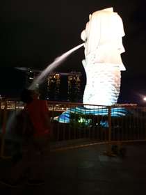 夜のシンガポールを満喫できました！