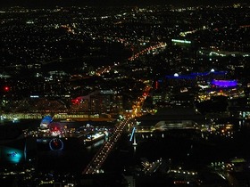 都会の夜景と動物たちを満喫