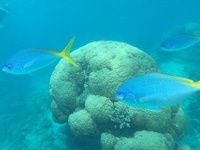 透き通る海