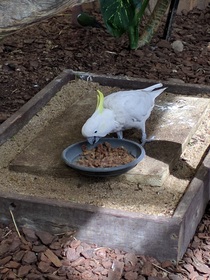 街中の動物園