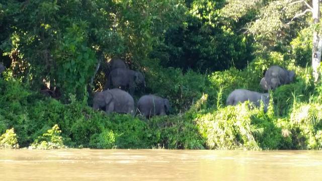 スカウワイエウドサファリ 1泊2日