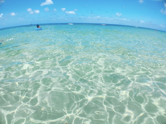 透き通る海！大満足！