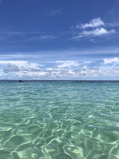 グリーン島綺麗でした！！
