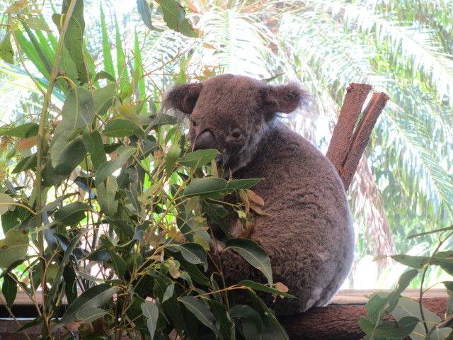 ホテルの屋上に小さな動物園！