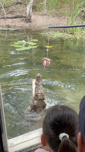 入園チケットのみでも楽しめます！