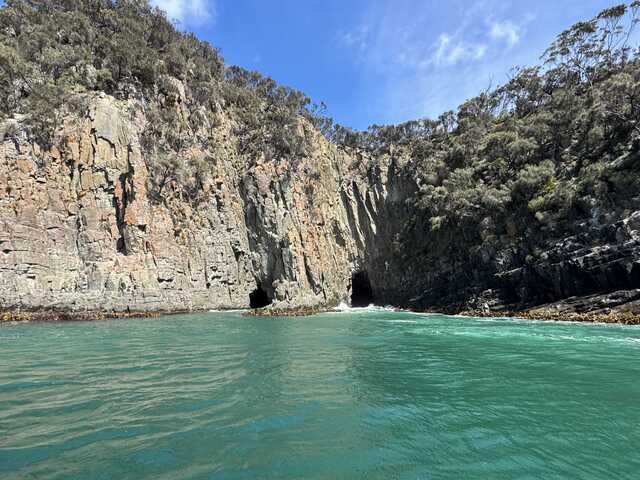 タスマニアの海を満喫