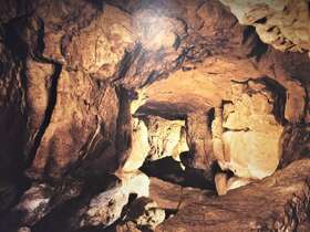 アルタミラ洞窟と北スペインの旧石器時代の洞窟画
