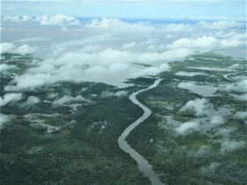 中央アマゾン保全地域群