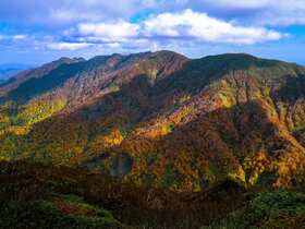 白神山地