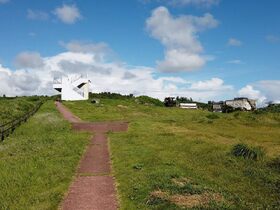 奄美大島、徳之島、沖縄島北部及び西表島