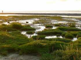 世界最大のラムサール湿地でもある
