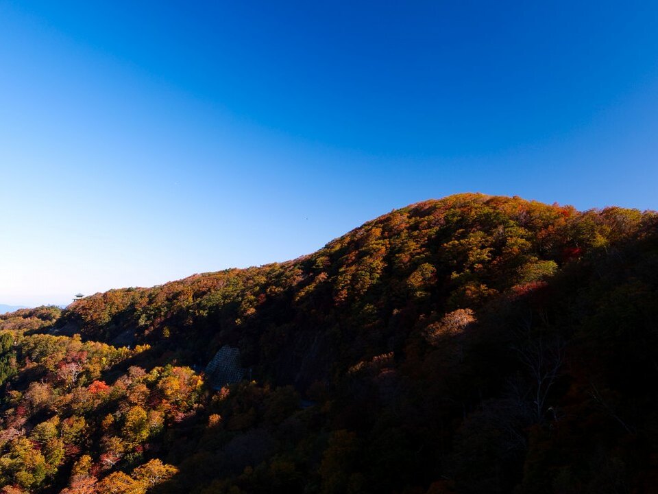 紀伊山地の霊場と参詣道