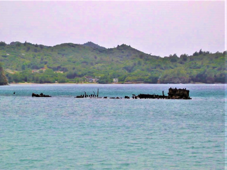 世界遺産 小笠原諸島|ホットホリデー