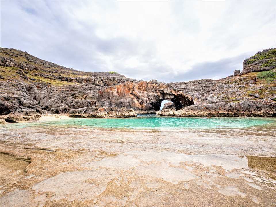 世界遺産 小笠原諸島|ホットホリデー