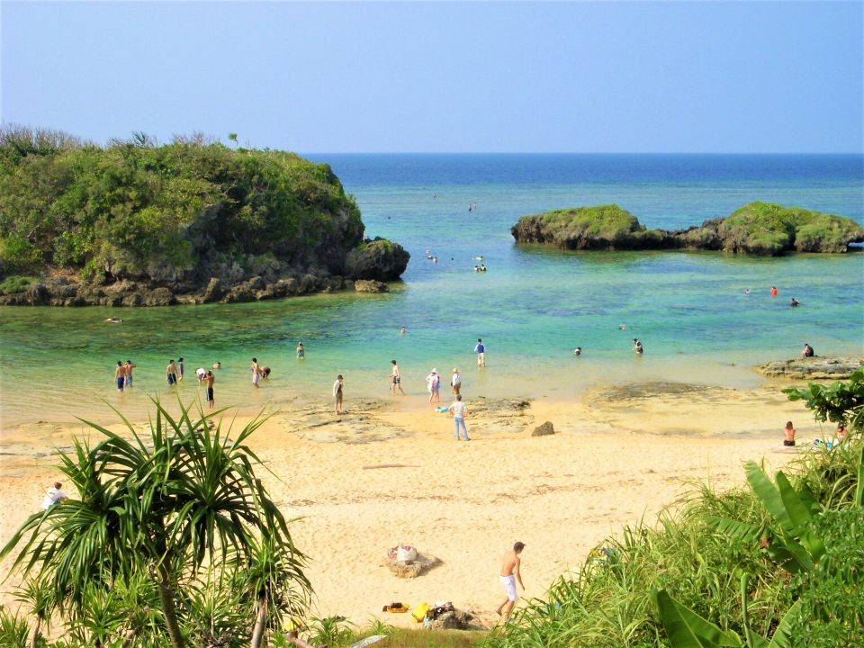 奄美大島、徳之島、沖縄島北部及び西表島