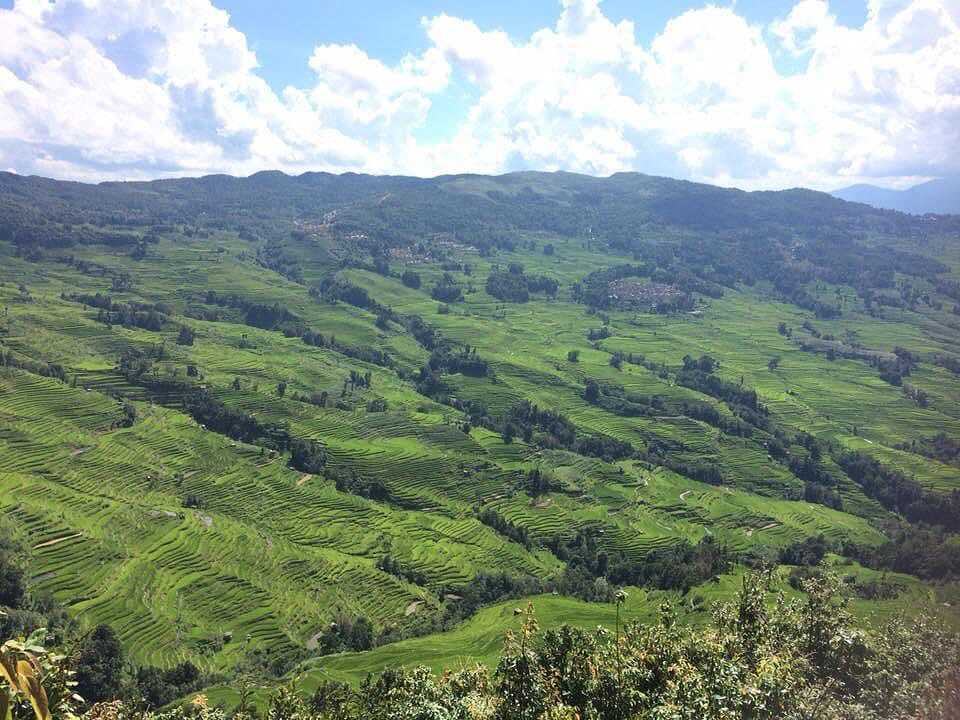 紅河ハニ棚田群の文化的景観