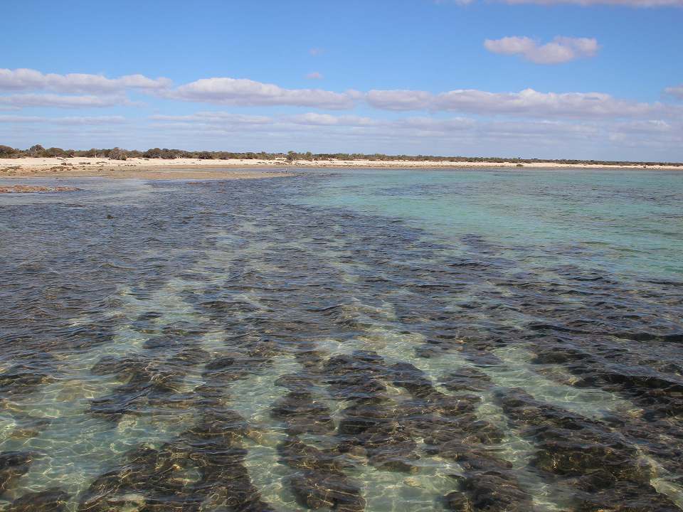 西オーストラリアのシャーク湾