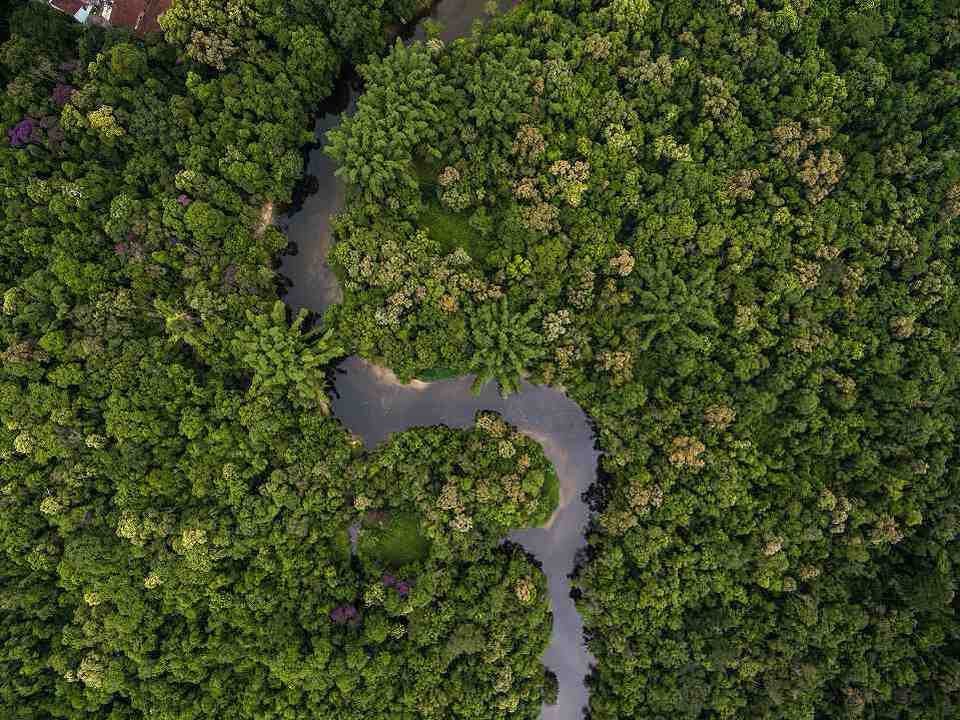 リオ・プラタノ生物圏保存地域