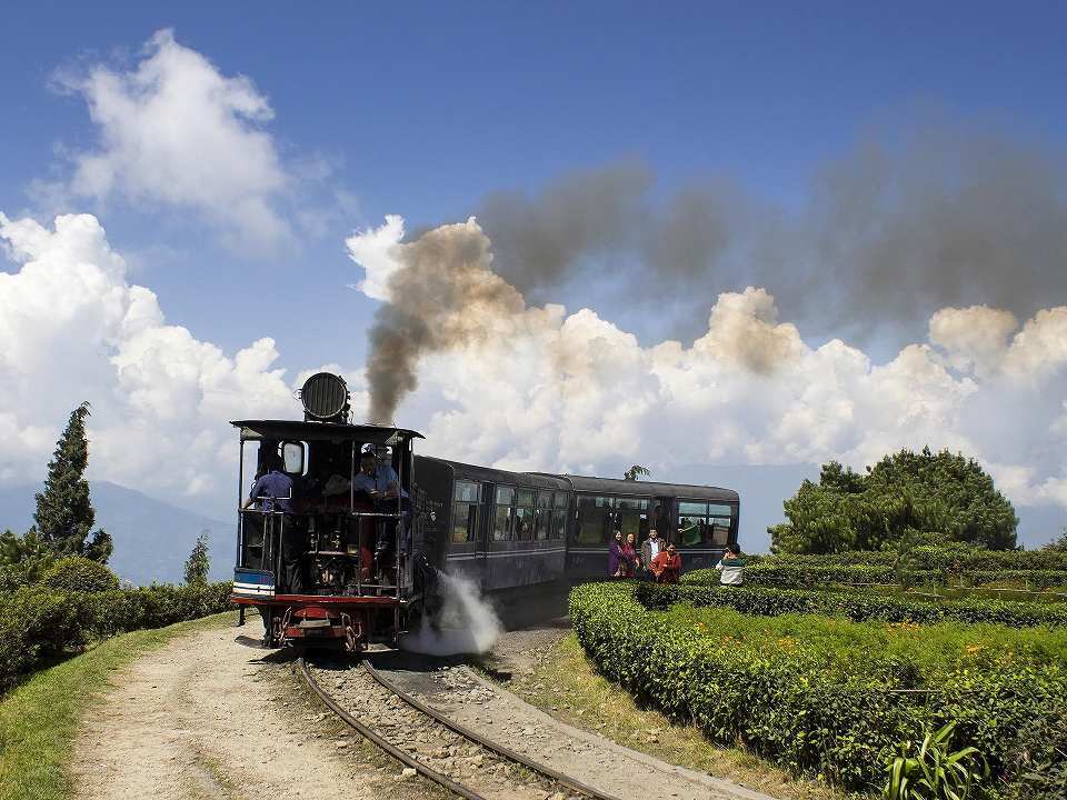 (未使用･未開封品)　世界の蒸気 vol.3 ダージリン・ヒマラヤ鉄道(世界遺産・インド) [DVD] 7z28pnb 世界の蒸気 vol.3 ダージリンヒマラヤ鉄道 (世界遺産インド