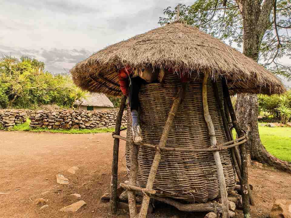 世界遺産 ティムリカ・オヒンガの考古遺跡|ホットホリデー