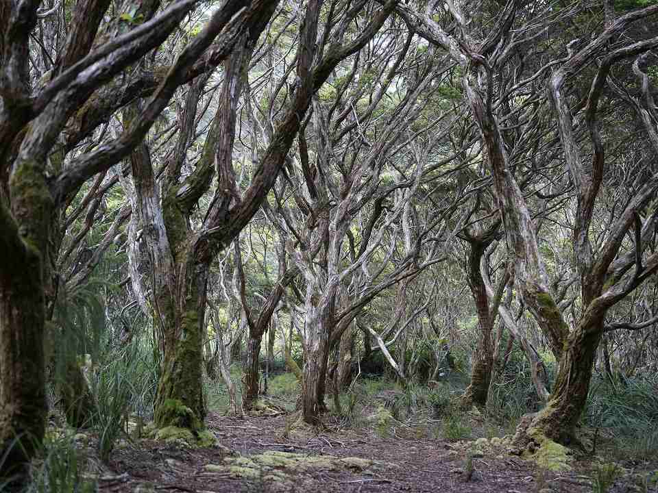 ハミギタン山地野生生物保護区