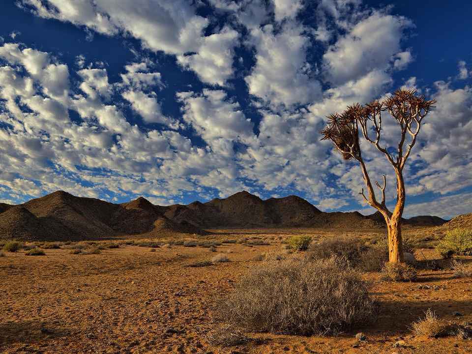 リフタスフェルトの文化的及び植生景観