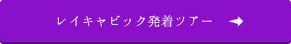 レイキャビック発着ツアー