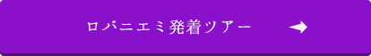 ロバニエミ発着ツアー