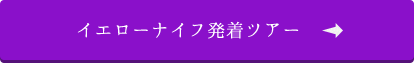 イエローナイフ発着ツアー