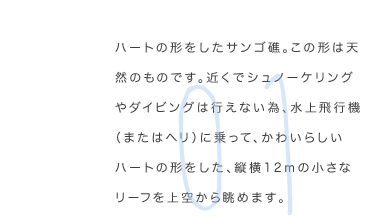 ハートの形をしたサンゴ礁。この形は天然のものです。近くでシュノーケリングやダイビングは行えない為、水上飛行機（またはヘリ）に乗って、かわいらしいハートの形をした、縦横12mの小さなリーフを上空から眺めます。