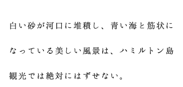 白い砂が河口に堆積し、青い海と筋状になっている美しい風景は、ハミルトン島観光では絶対にはずせない。