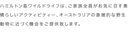 ハミルトン島ワイルドライフは、ご家族全員がお気に召す素晴らしいアクティビティー、オーストラリアの象徴的な野生動物に近づく機会をご提供致します。