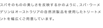 ハミルトン島周辺海域には、カメ、マンタや熱帯魚等の海洋生物がたくさん生存しています。シーカヤックやスタンドアップパドルボードをレンタルし、自分のペースで、この自然いっぱいな海域を遊びましょう。