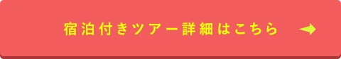 宿泊付きツアー詳細はこちら