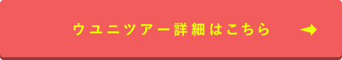 ウユニツアー詳細はこちら