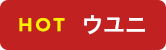 HOT ウユニ