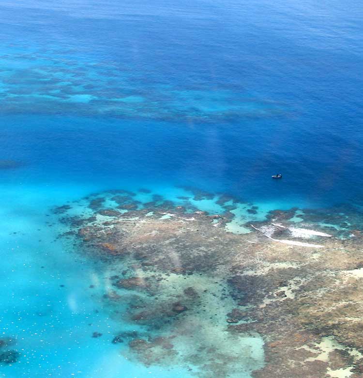 HOT HOLIDAY 世界遺産グレートバリアリーフや世界最古の熱帯雨林など、ケアンズには自然の中で遊べるアクティビティがたくさん！自由に組み合わせてあなただけのオリジナルな旅を！