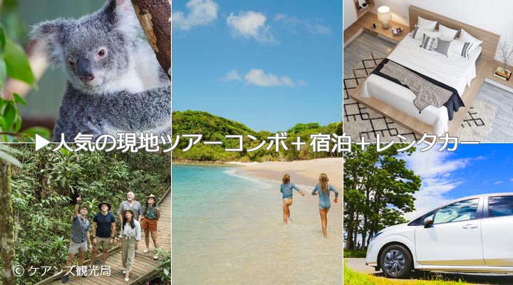 自由度の高い旅に！セルフドライブ